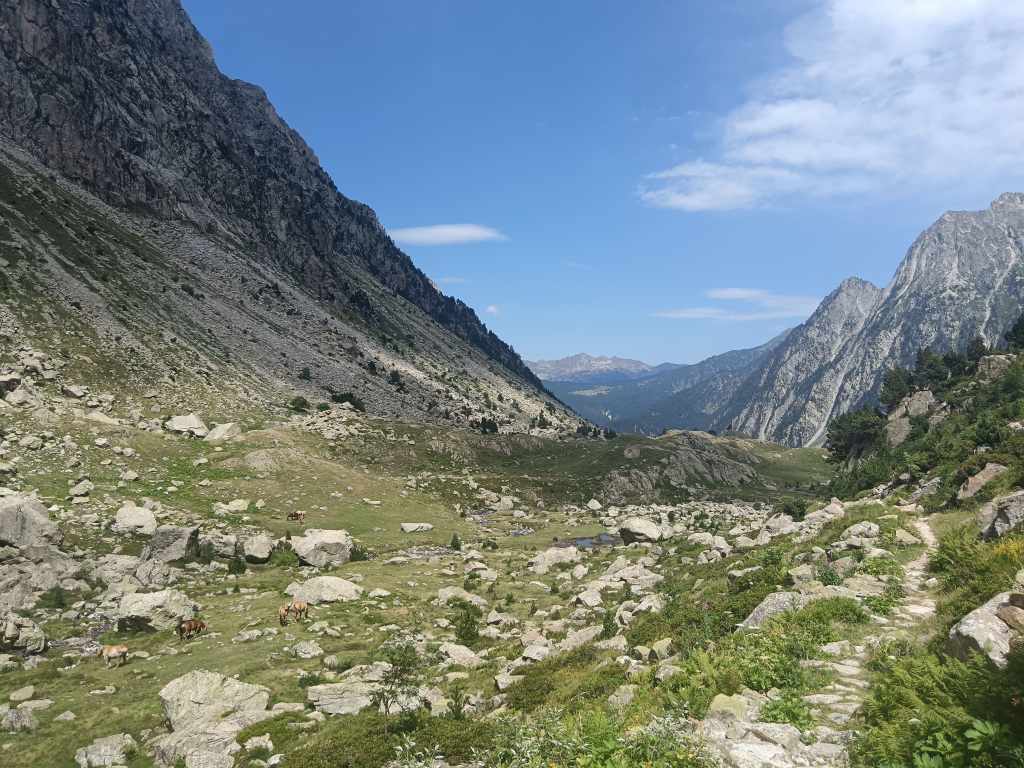 Les premiers chevaux depuis quelques jours, ils me manquaient !