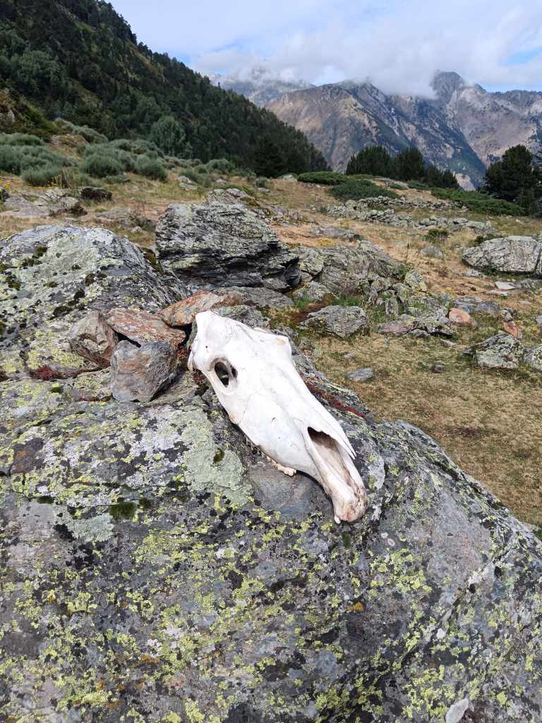 En montant vers le Coll de Cornella