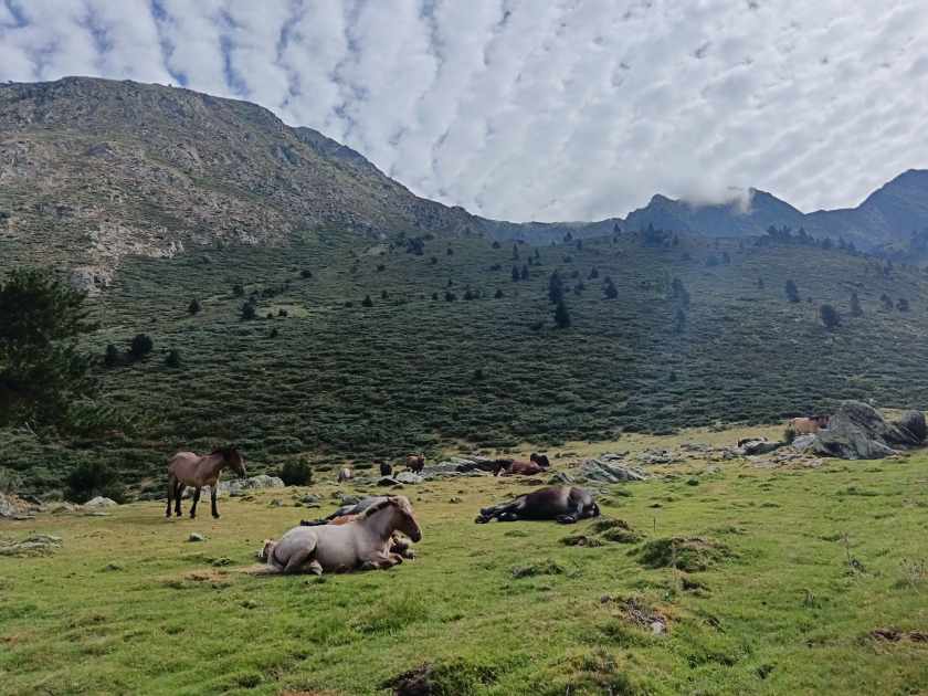 Vers la Bassa de Sobriu