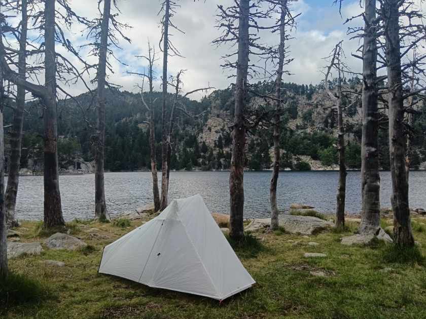 Les bords de l'Estany negre